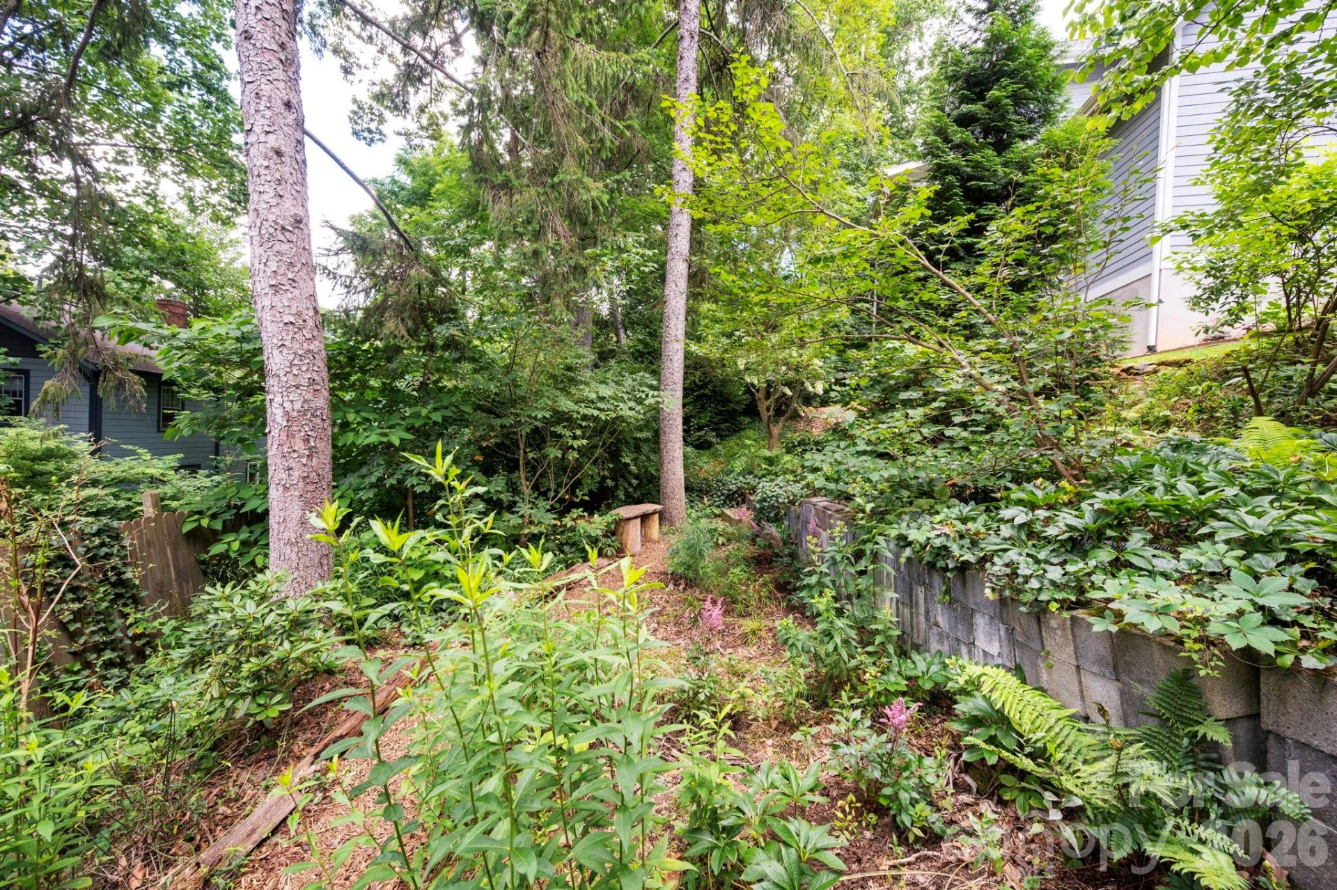 28 Chatham Road - Photo 29