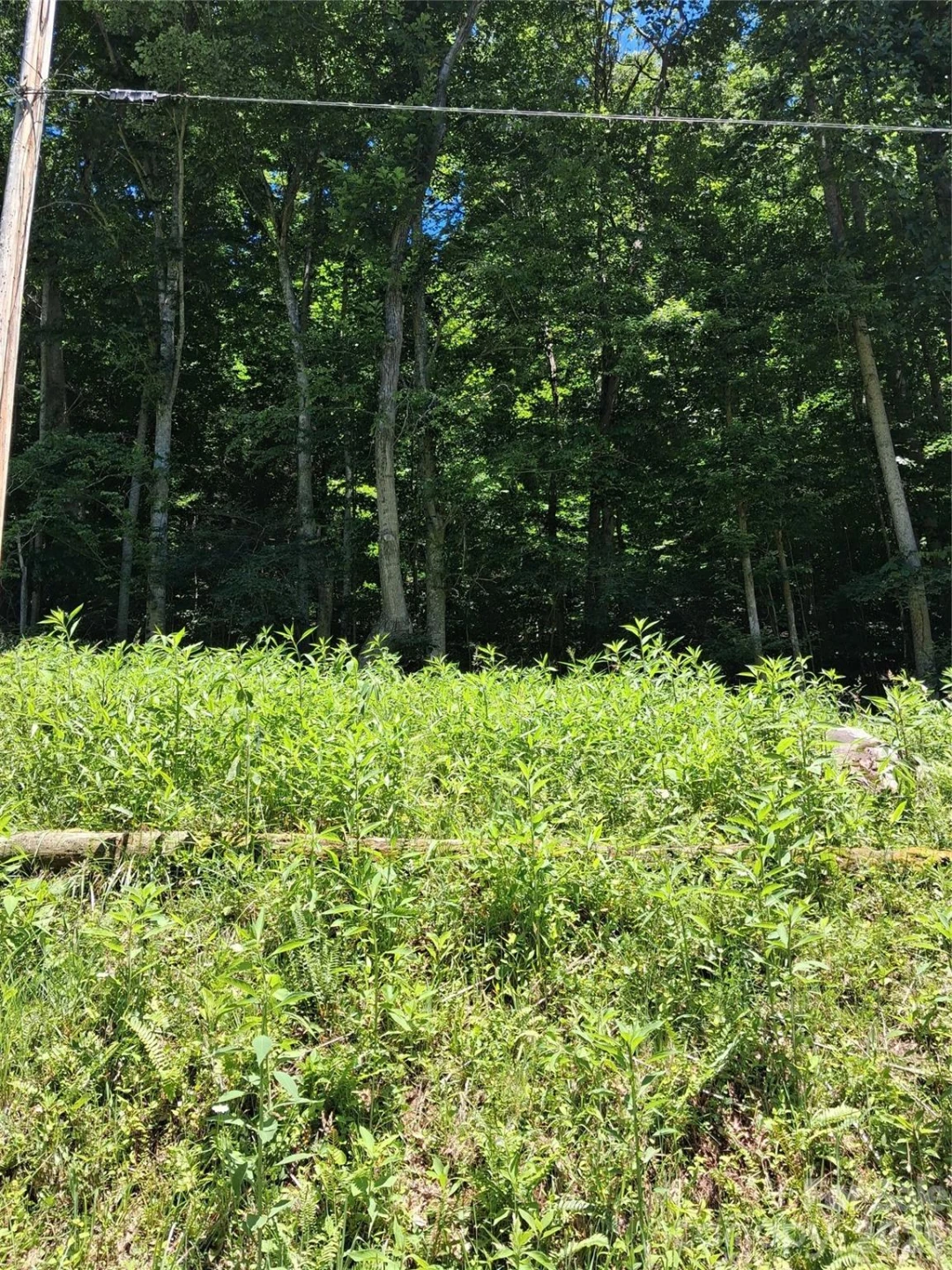 TBD Wooded Mountain Trail #Tract 1 - Photo 2