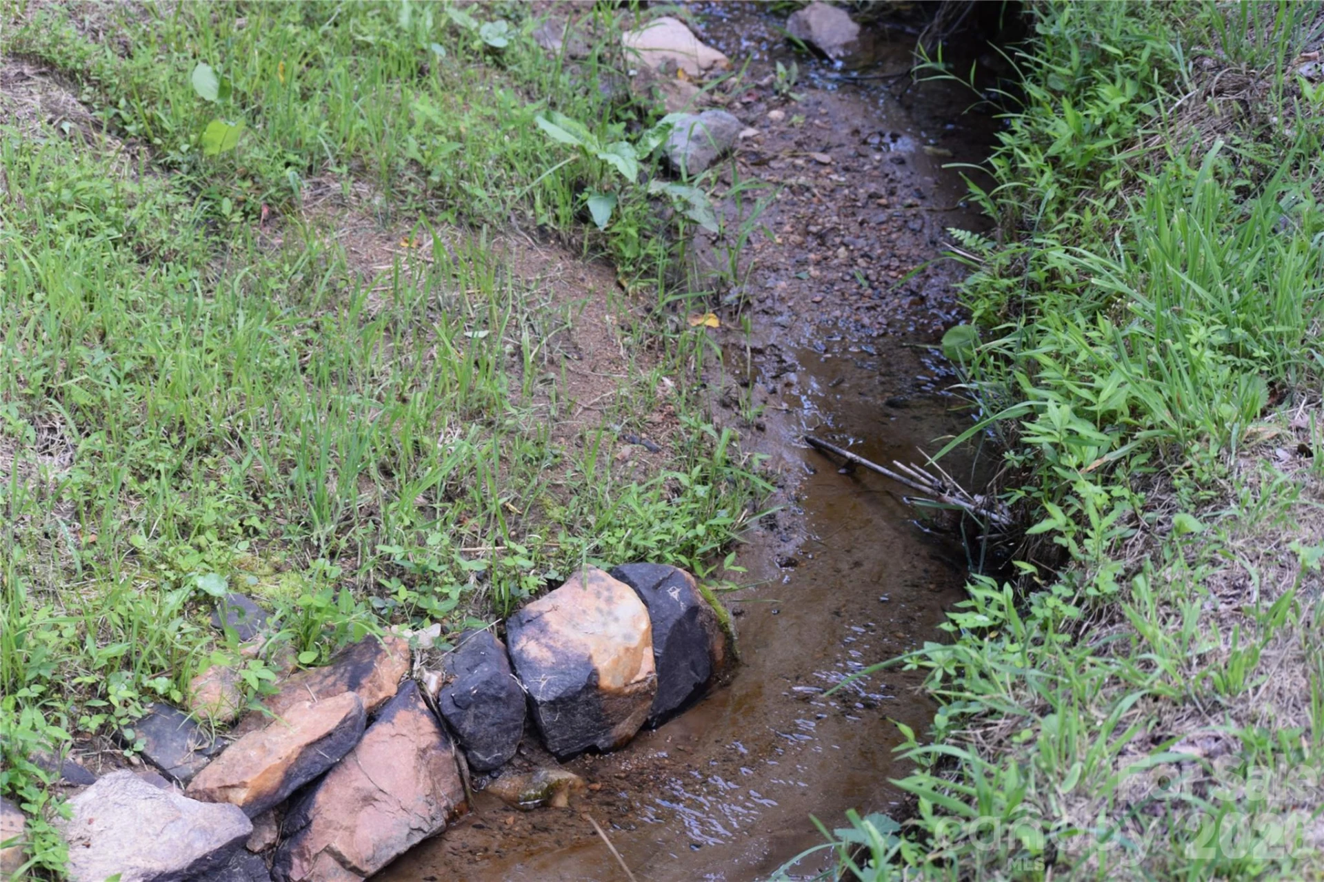 TBD Wooded Mountain Trail #Tract 1 - Photo 16