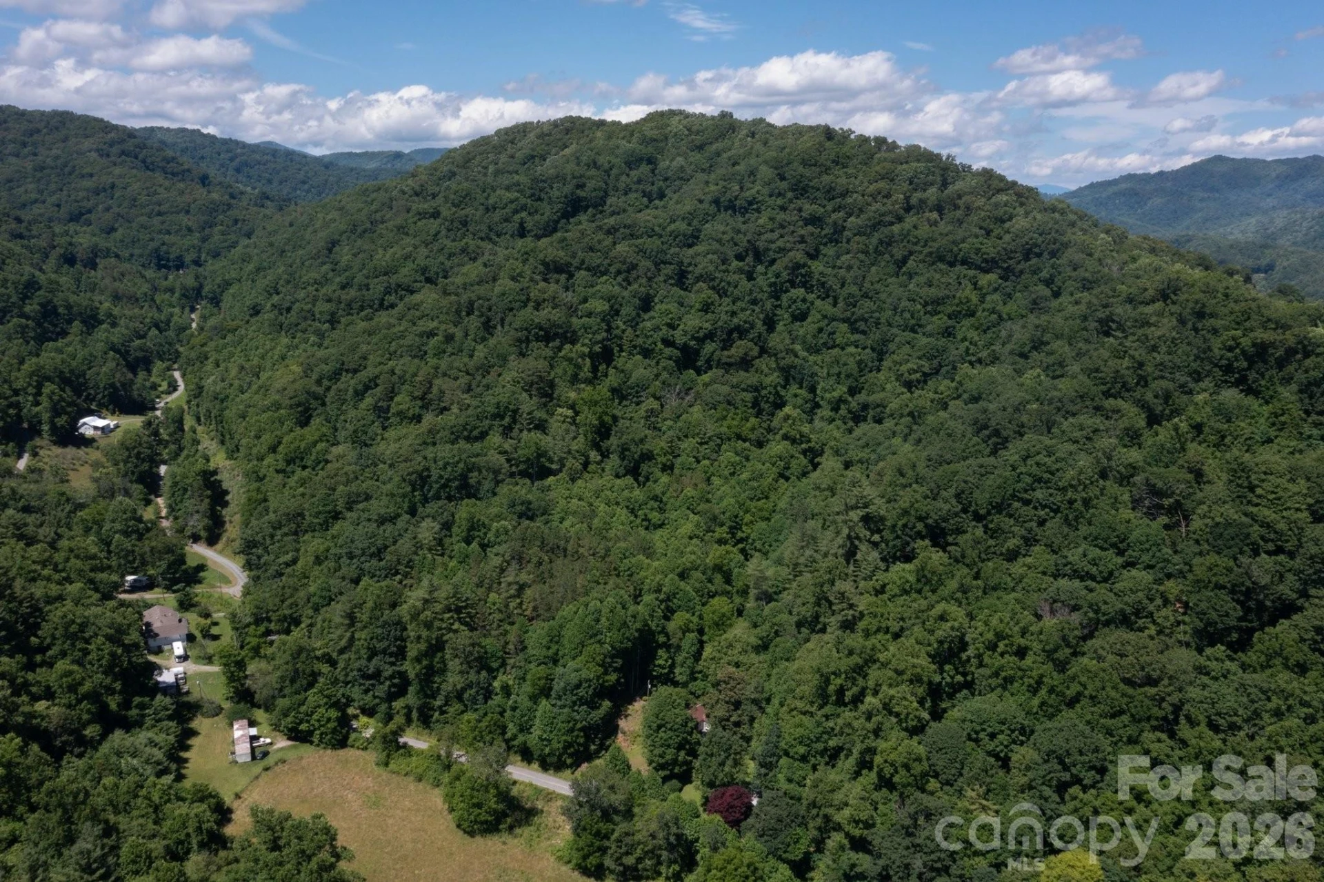 TBD Wooded Mountain Trail #Tract 1 - Photo 5