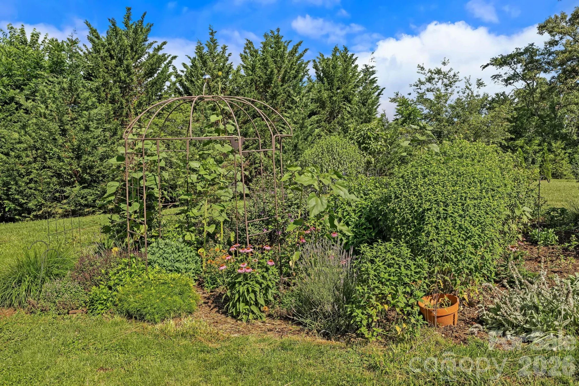 72 Ed Debruhl Road - Photo 24