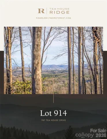 787 Tea House Drive, Asheville, NC, 28803