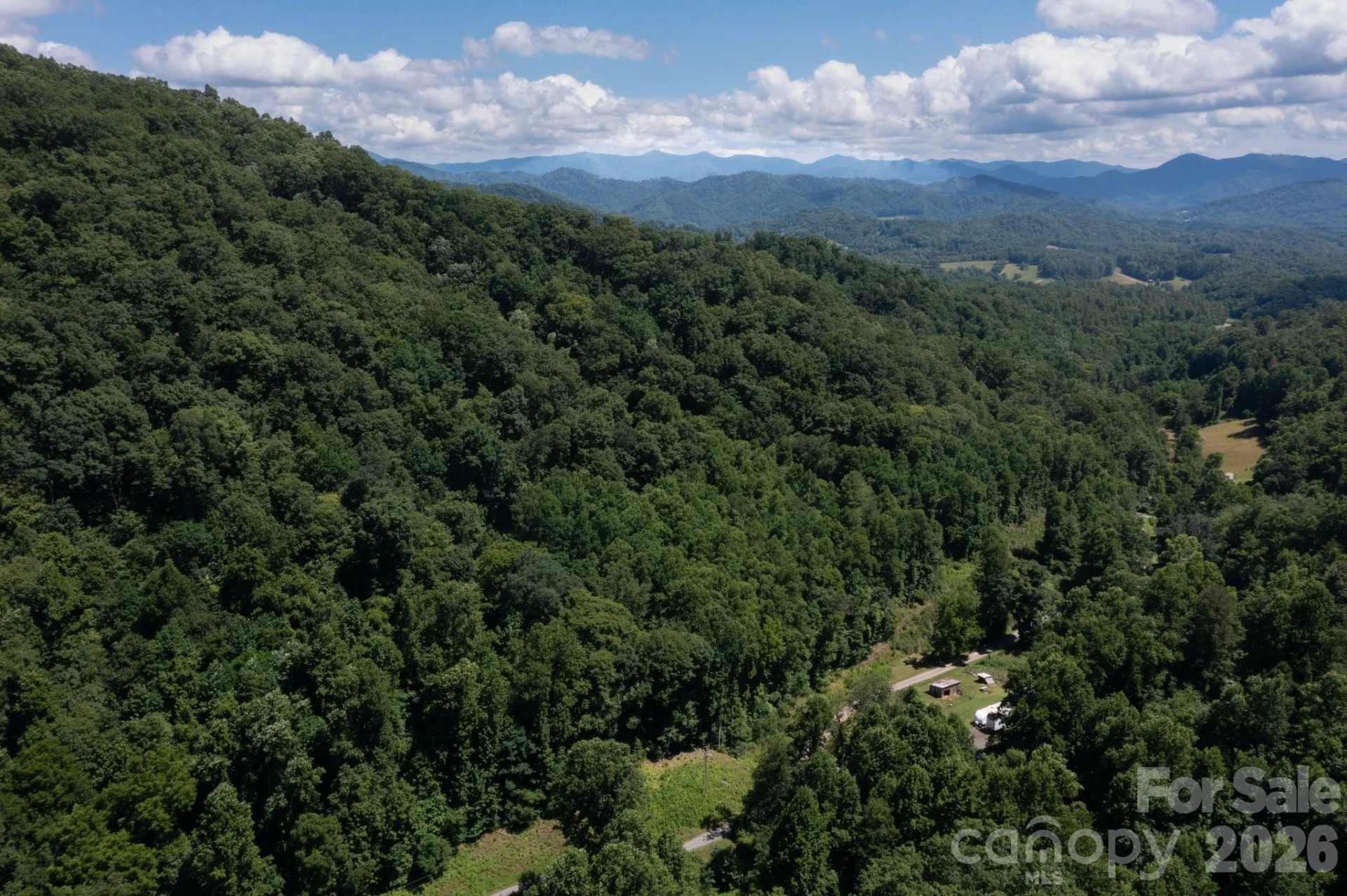 TBD Wooded Mountain Trail #Tract 2 - Photo 6