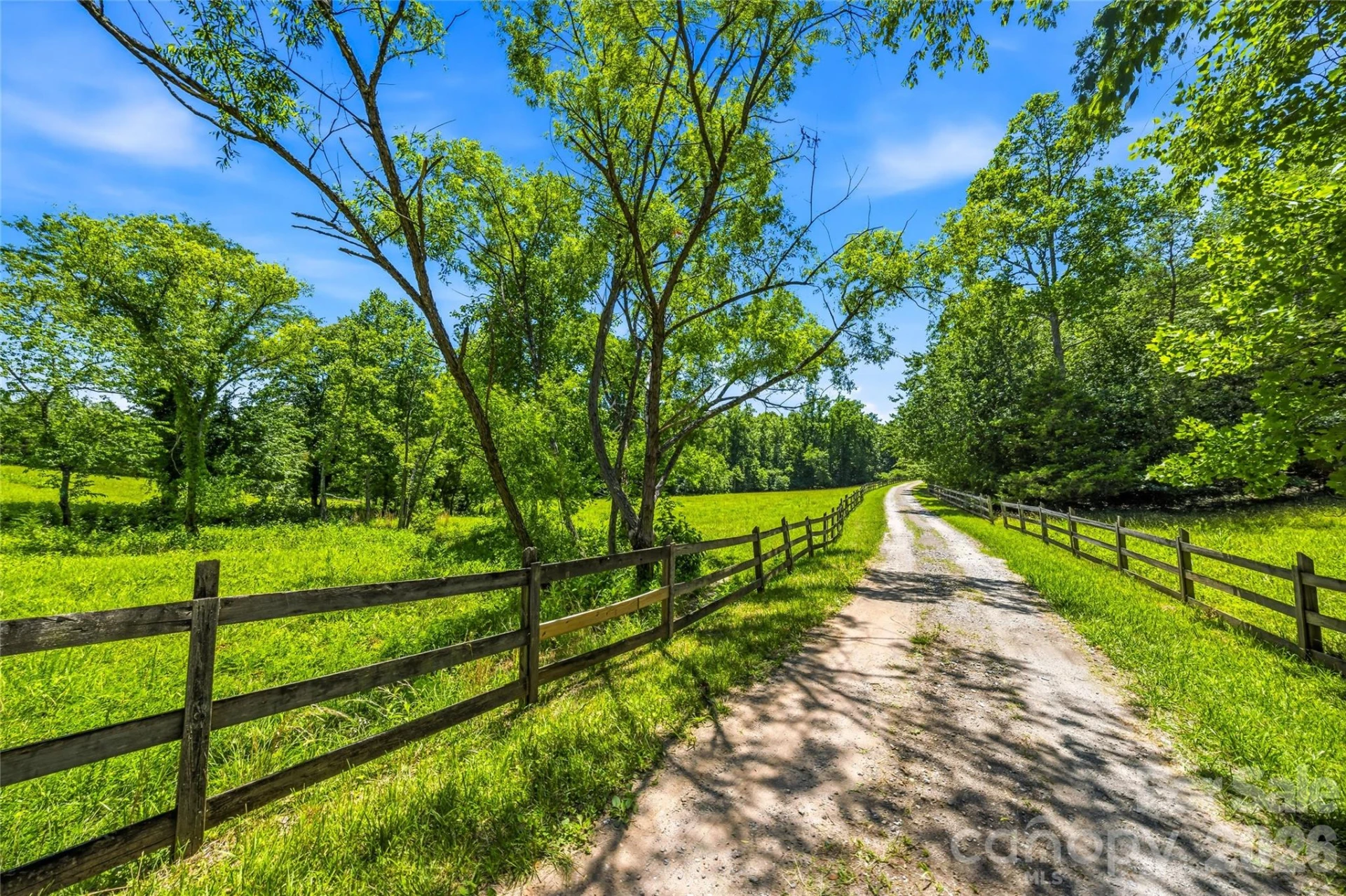 3012 Polk County Line Road - Photo 2