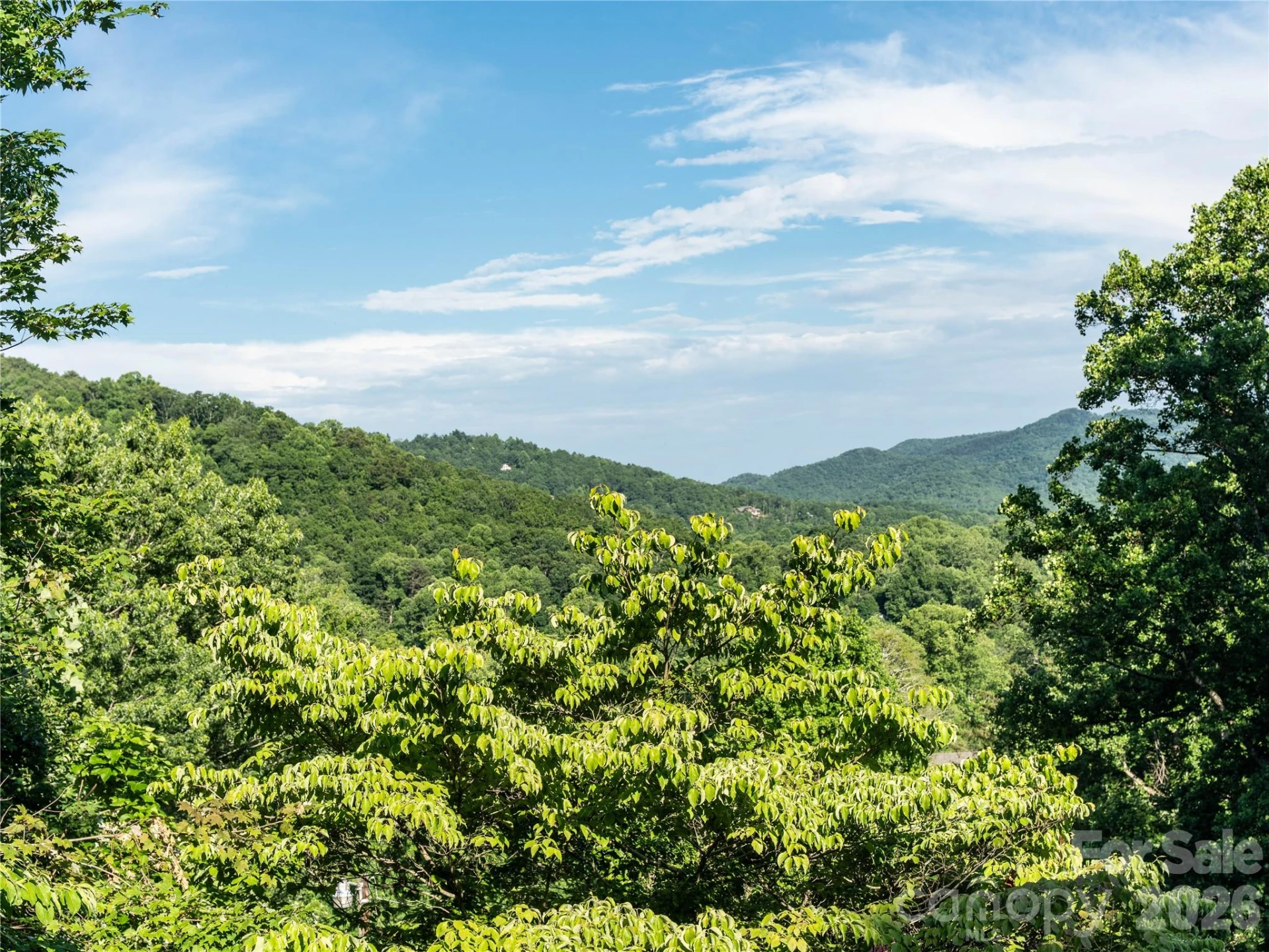 45 Mountain View Avenue - Photo 2