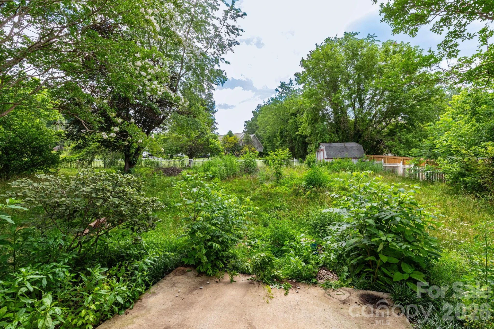 5 Carter View - Photo 21