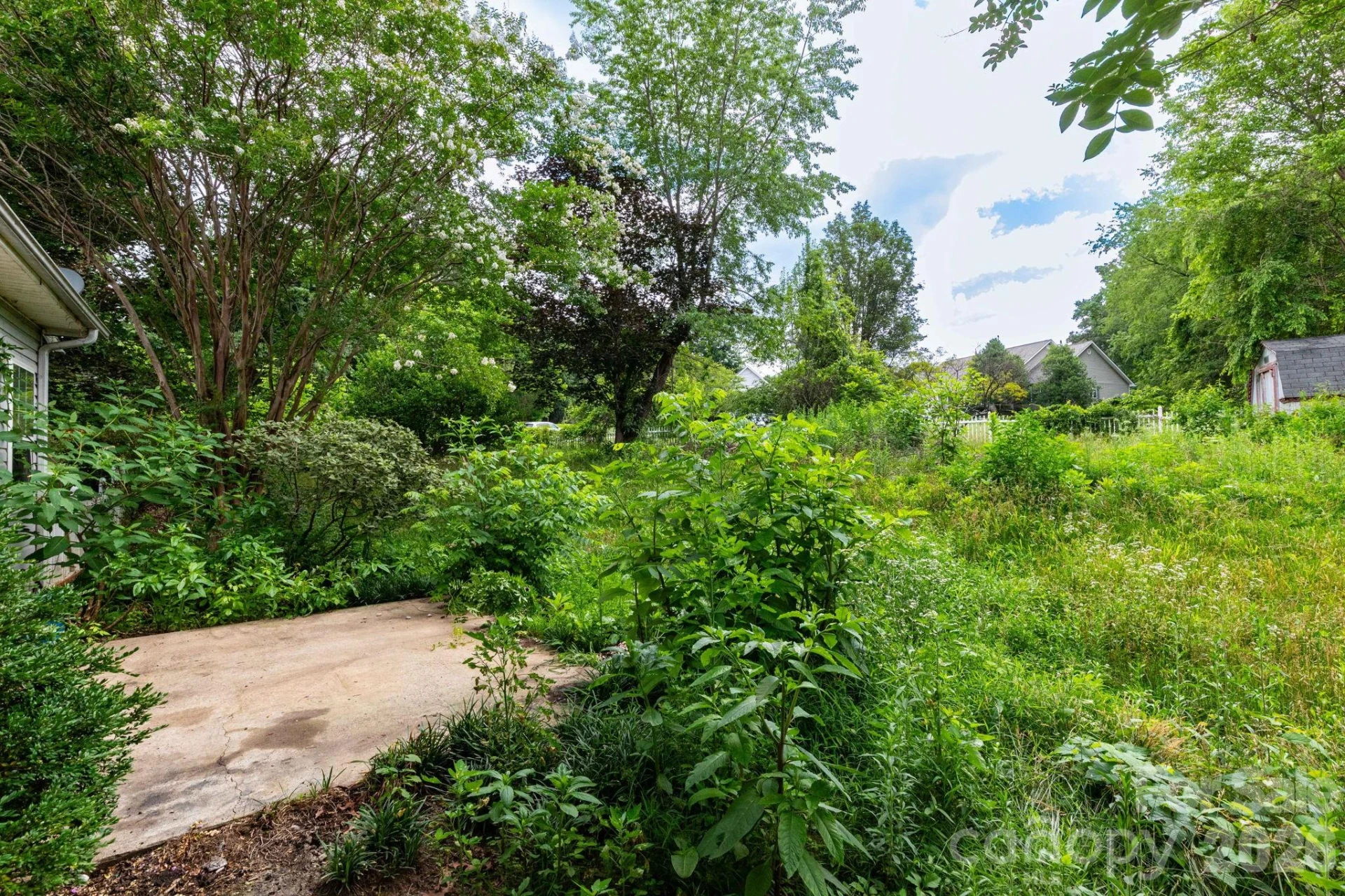 5 Carter View - Photo 22