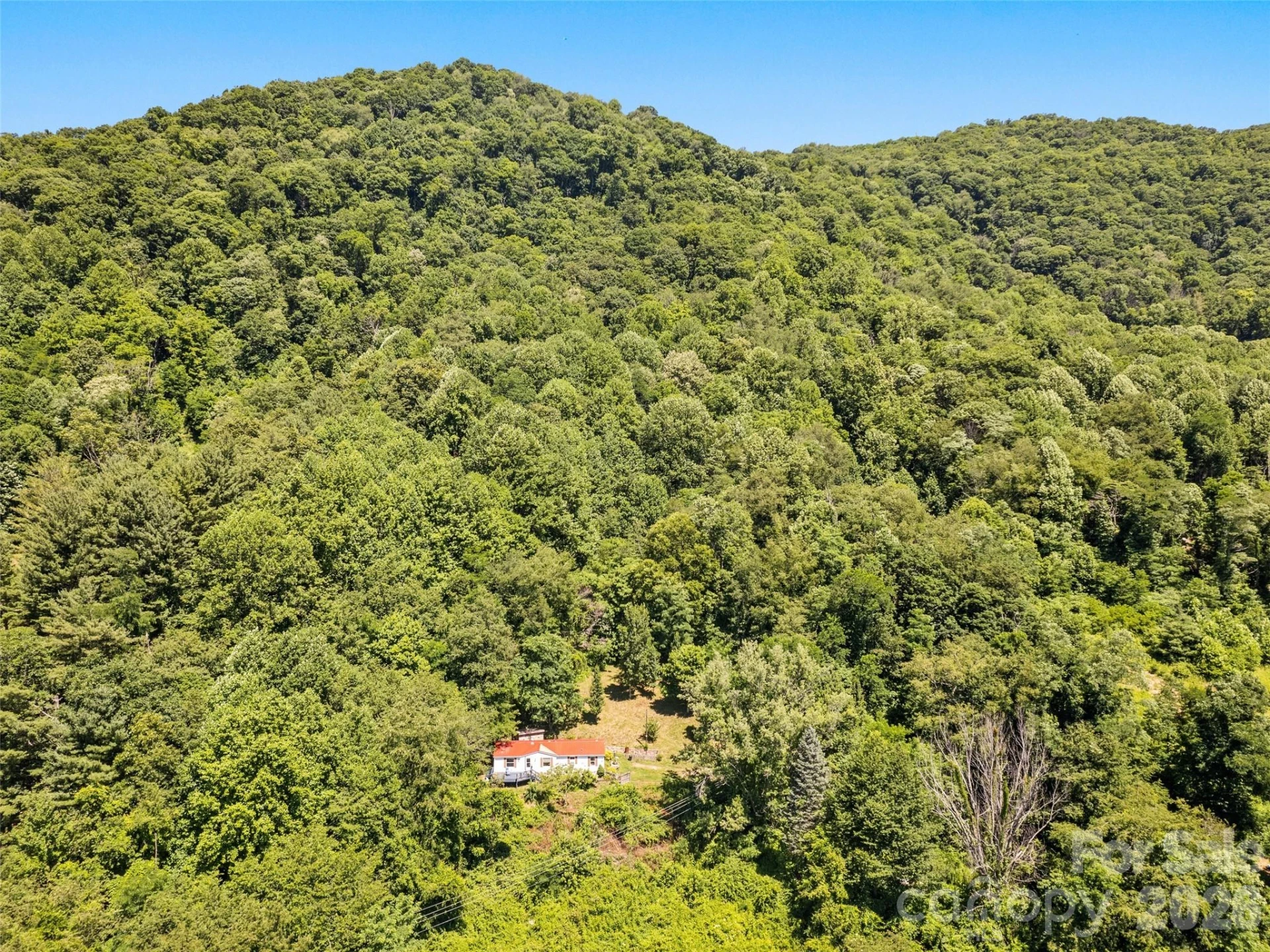 115 Slick Rock Ridge - Photo 17