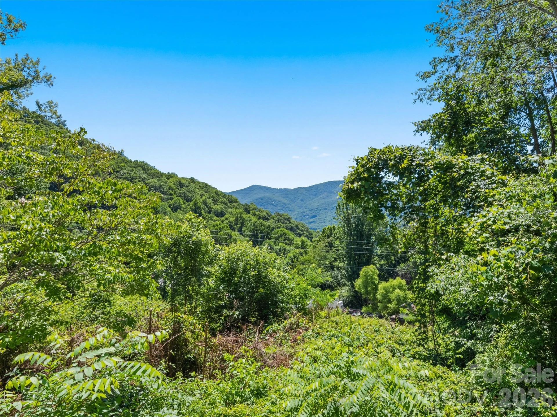 115 Slick Rock Ridge - Photo 18