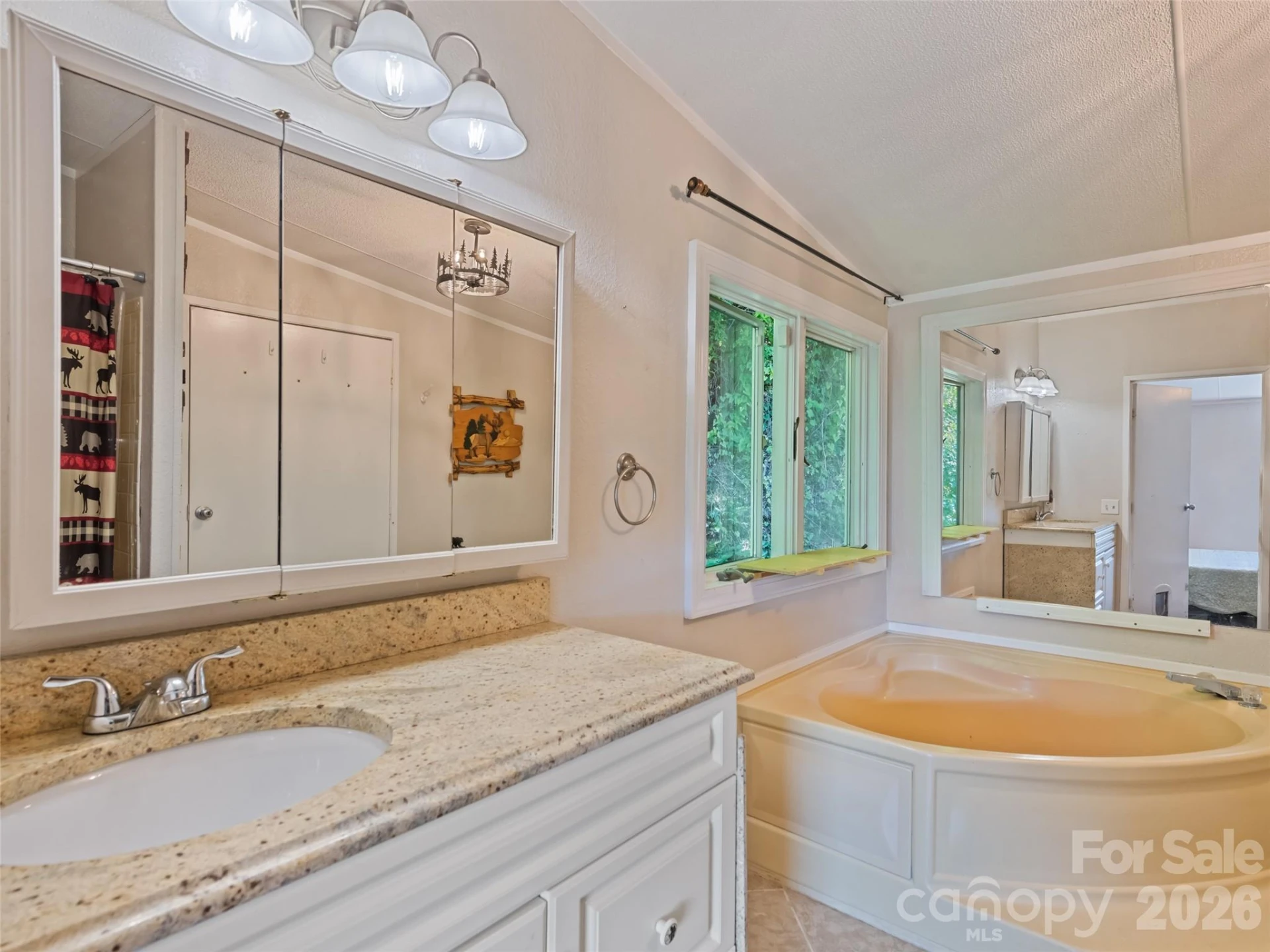 115 Slick Rock Ridge - Photo 8