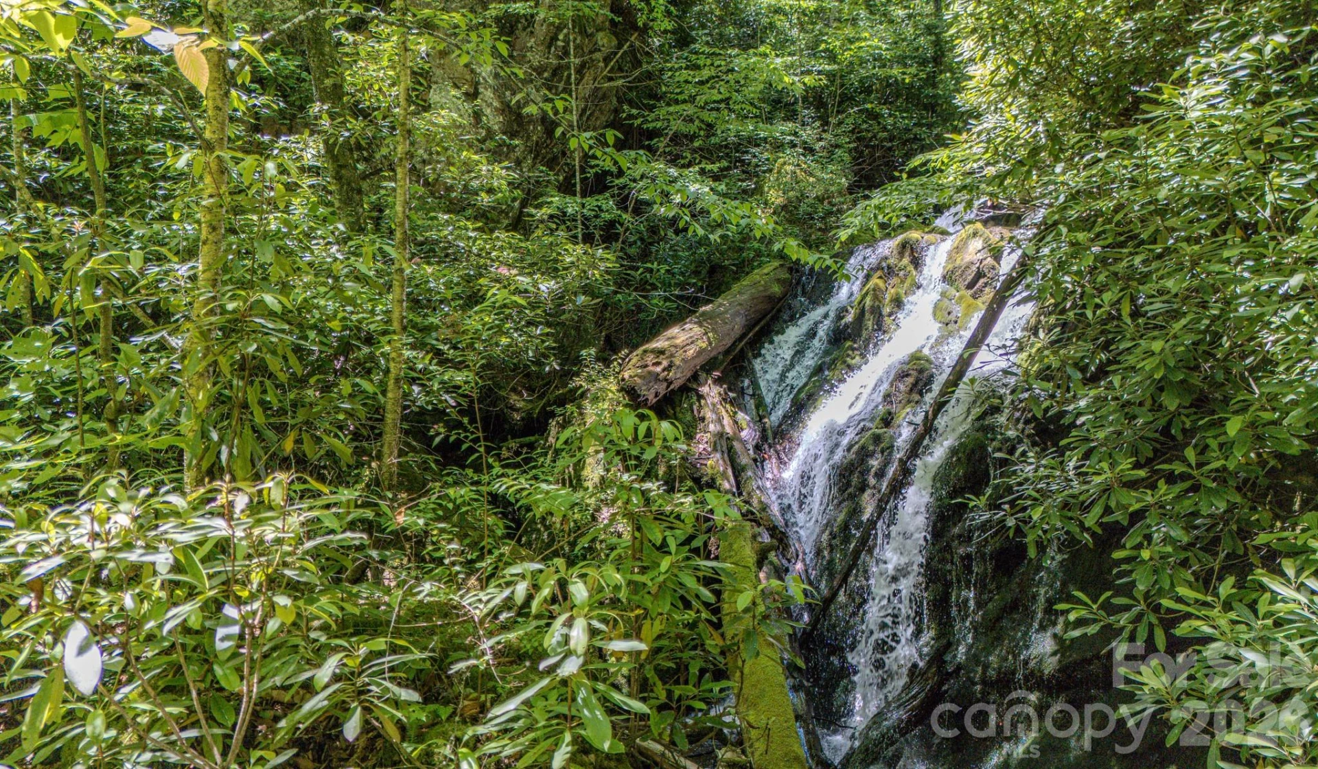1712 Little Creek Road - Photo 2