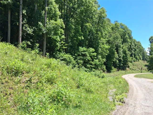 TBD Wooded Mountain Trail, Mars Hill, NC, 28754