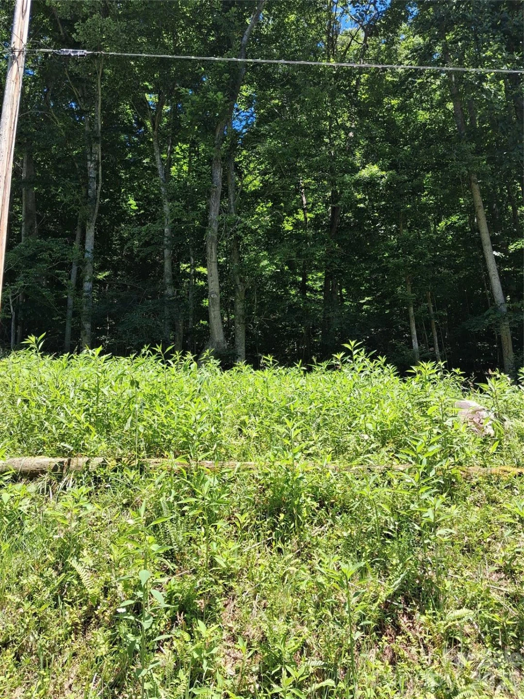 TBD Wooded Mountain Trail #Tracts 1 & 2 - Photo 2