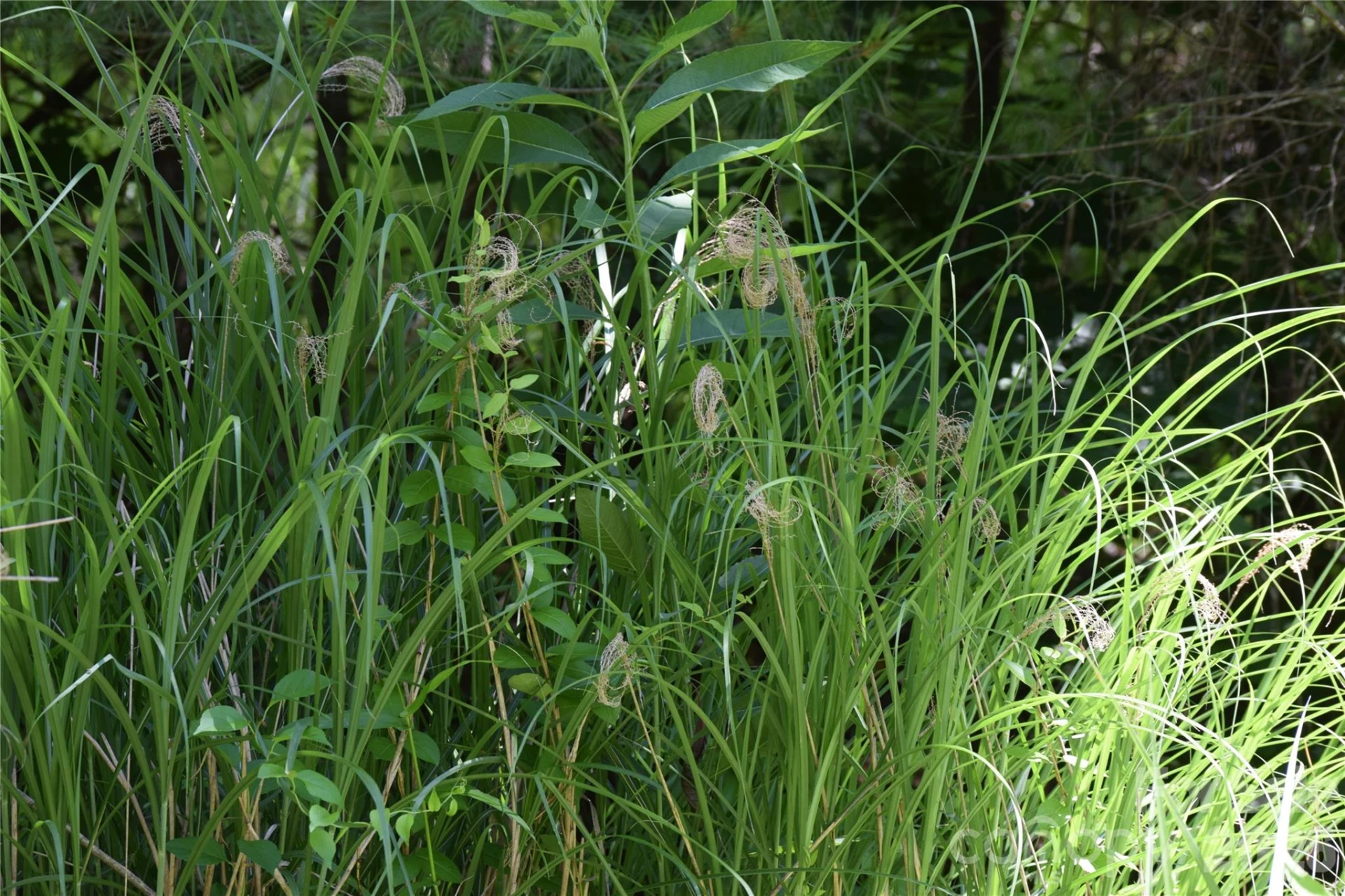 TBD Wooded Mountain Trail #Tracts 1 & 2 - Photo 16