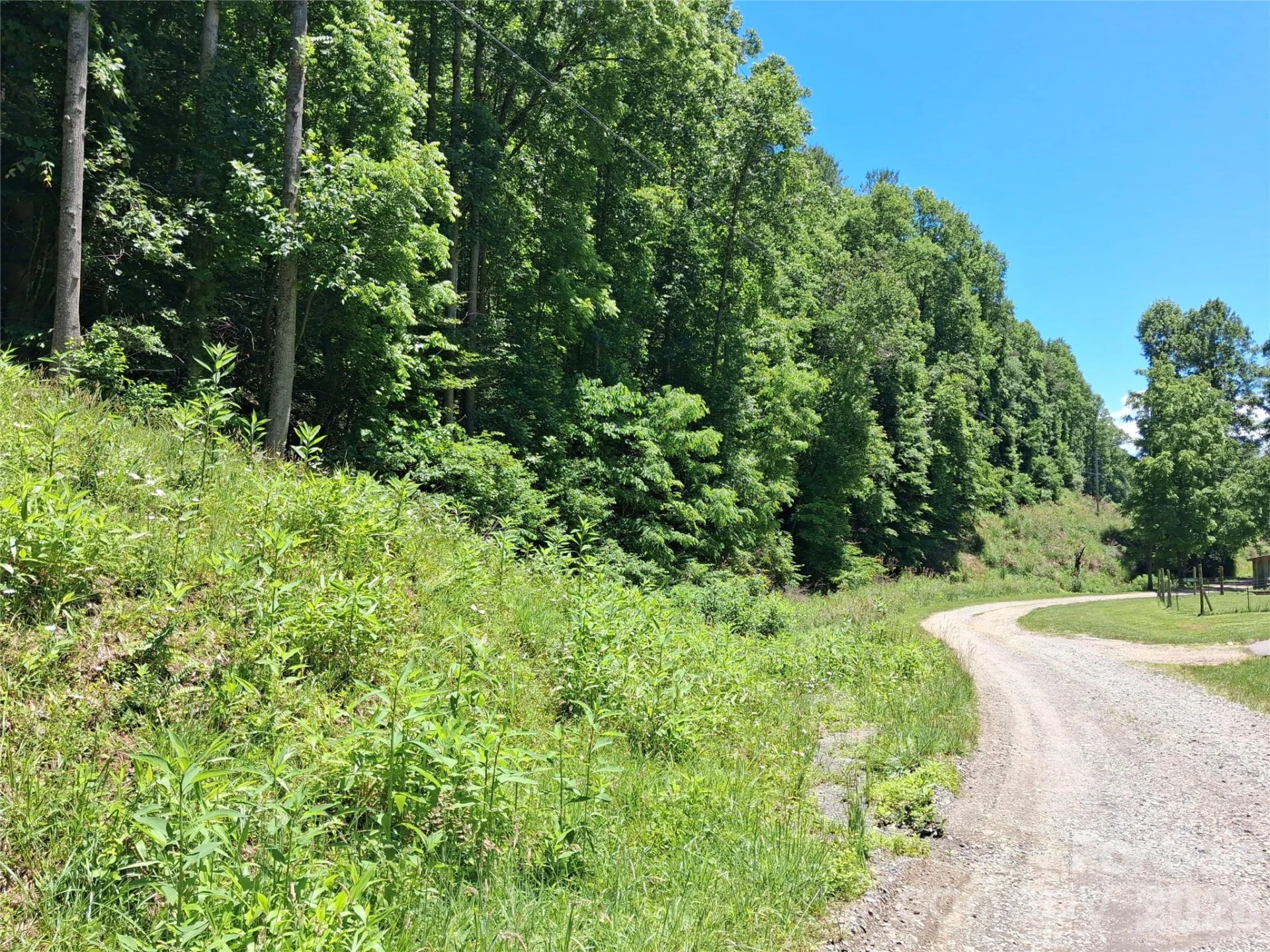TBD Wooded Mountain Trail #Tracts 1 & 2 - Photo 3