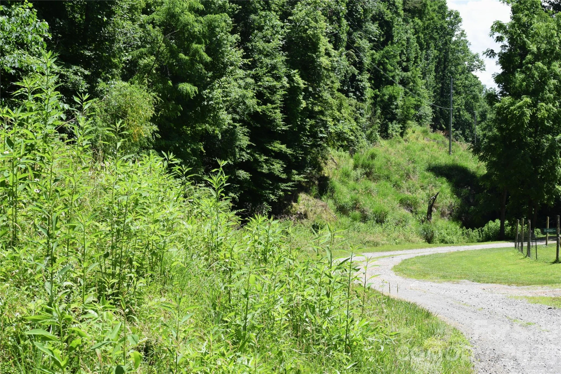 TBD Wooded Mountain Trail #Tracts 1 & 2 - Photo 6