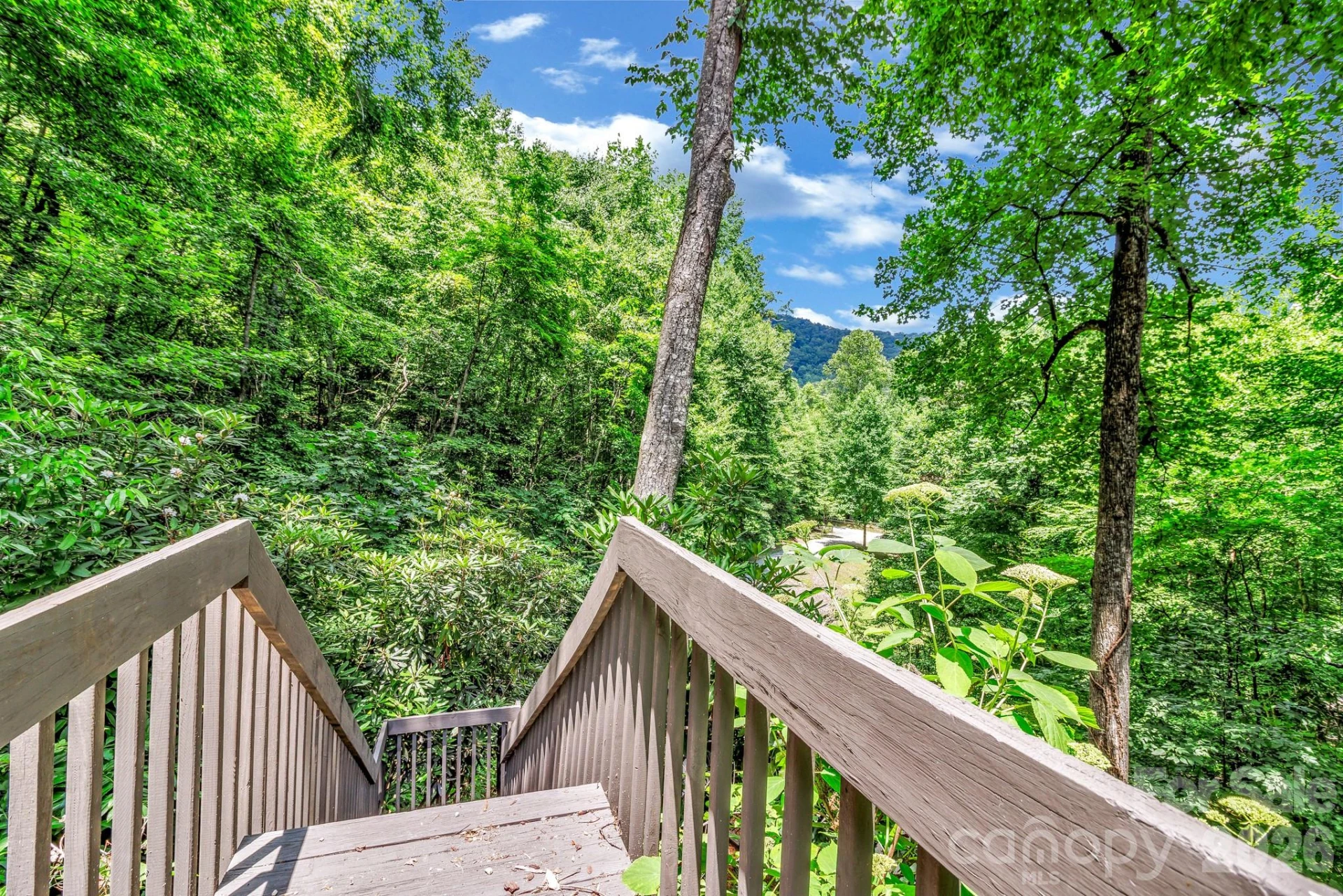 237 Woodys Drive - Photo 4