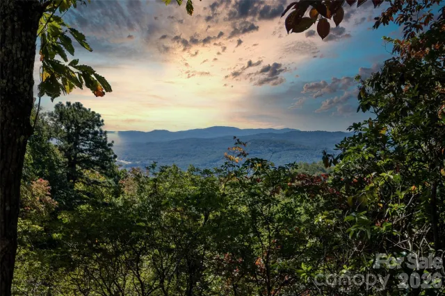 99999 Mountain Grove Lane, Fletcher, NC, 28732