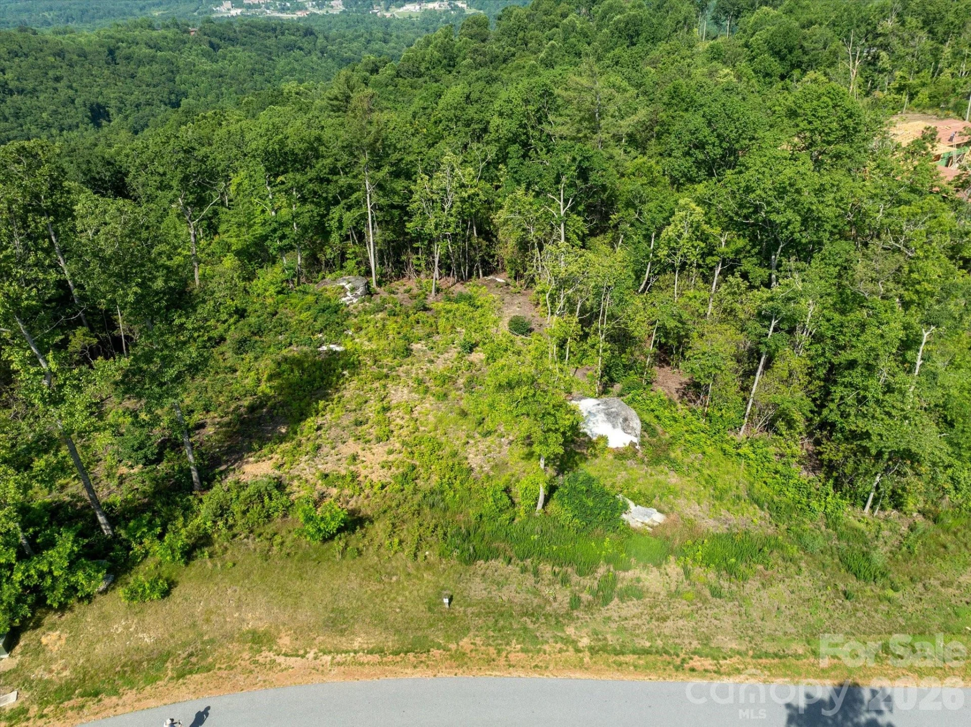 99999 Mountain Grove Lane #48 - Photo 12