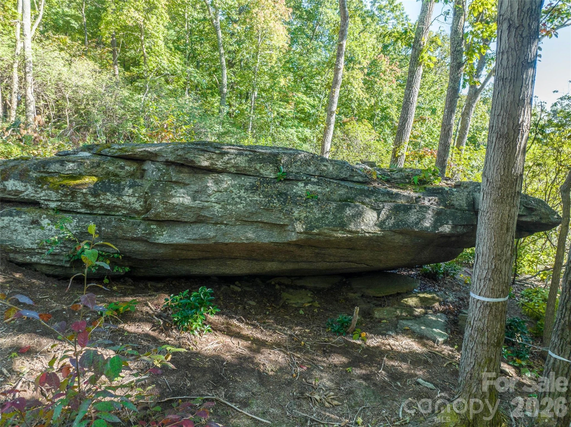 99999 Mountain Grove Lane #48 - Photo 14