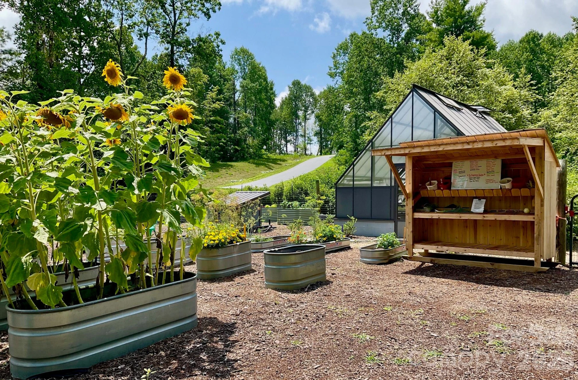 99999 Mountain Grove Lane #48 - Photo 22