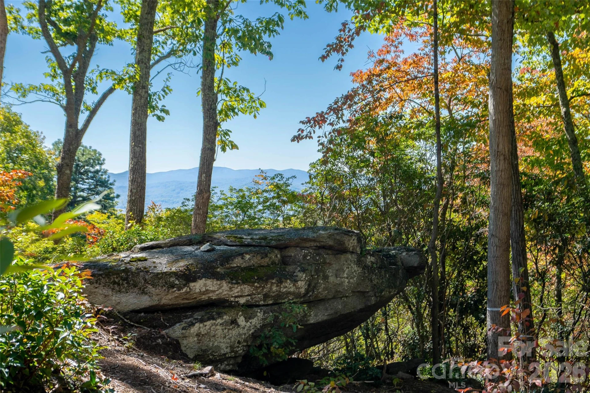 99999 Mountain Grove Lane #48 - Photo 4