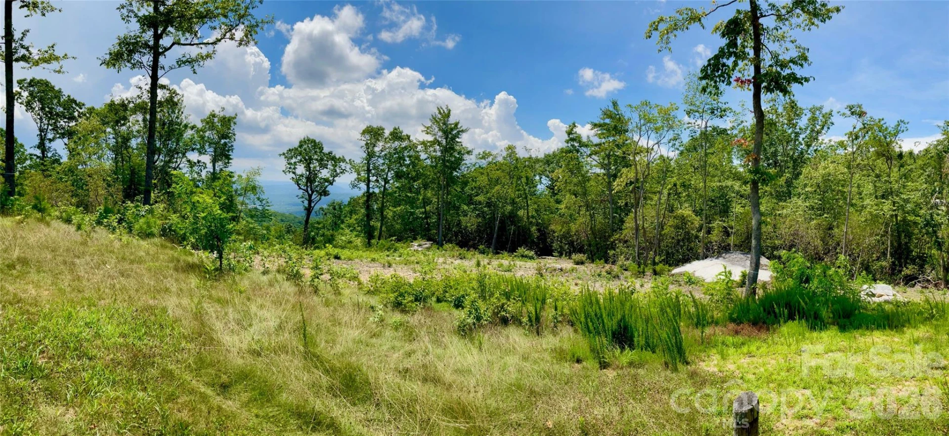 99999 Mountain Grove Lane #48 - Photo 5