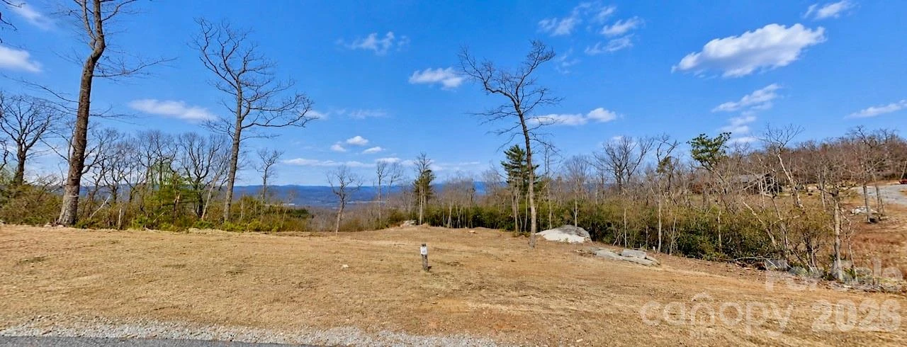 99999 Mountain Grove Lane #48 - Photo 4