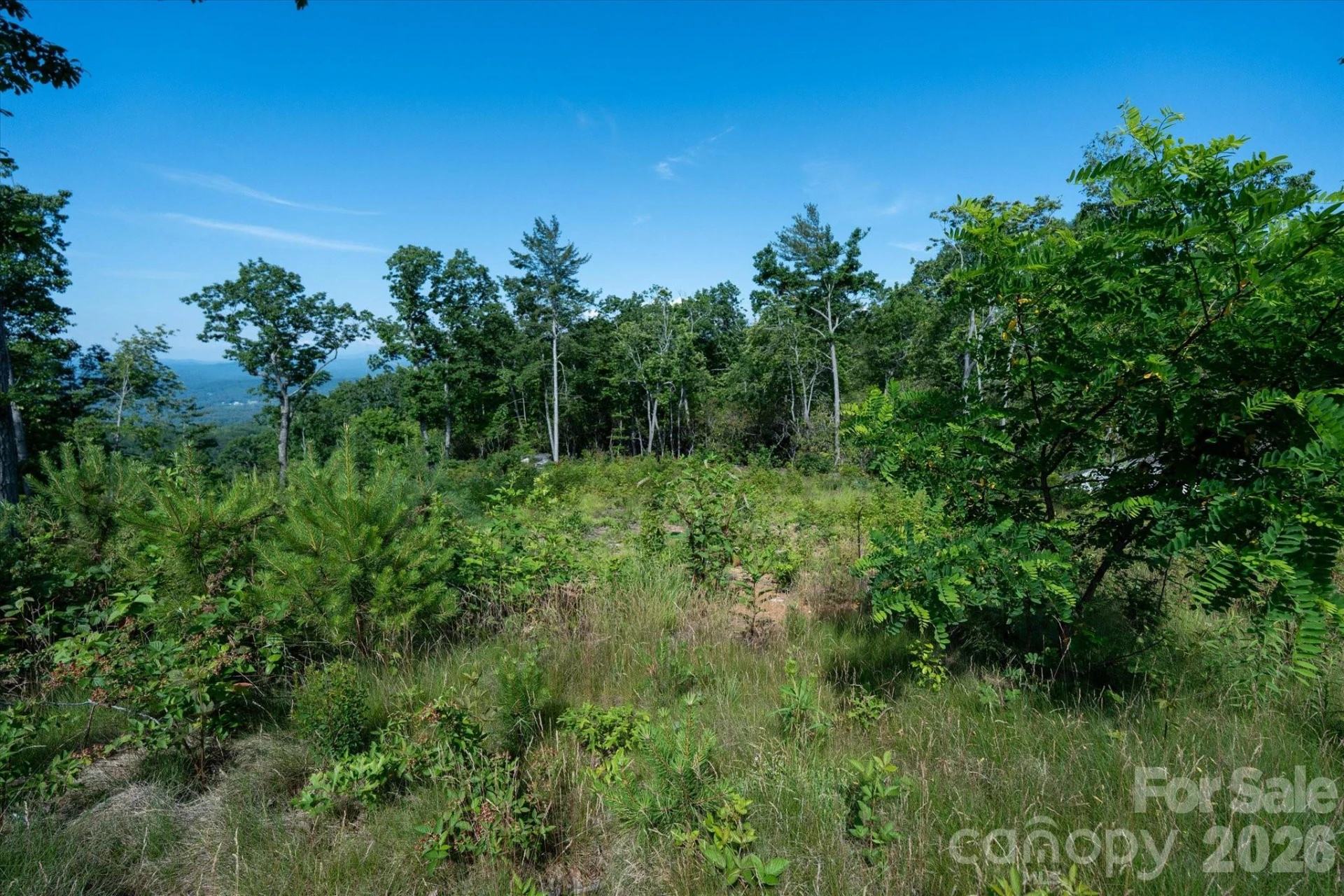 99999 Mountain Grove Lane #48 - Photo 9