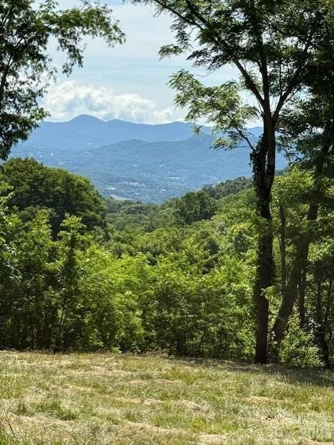 #38 Sleepy Hollow Drive - Photo 9