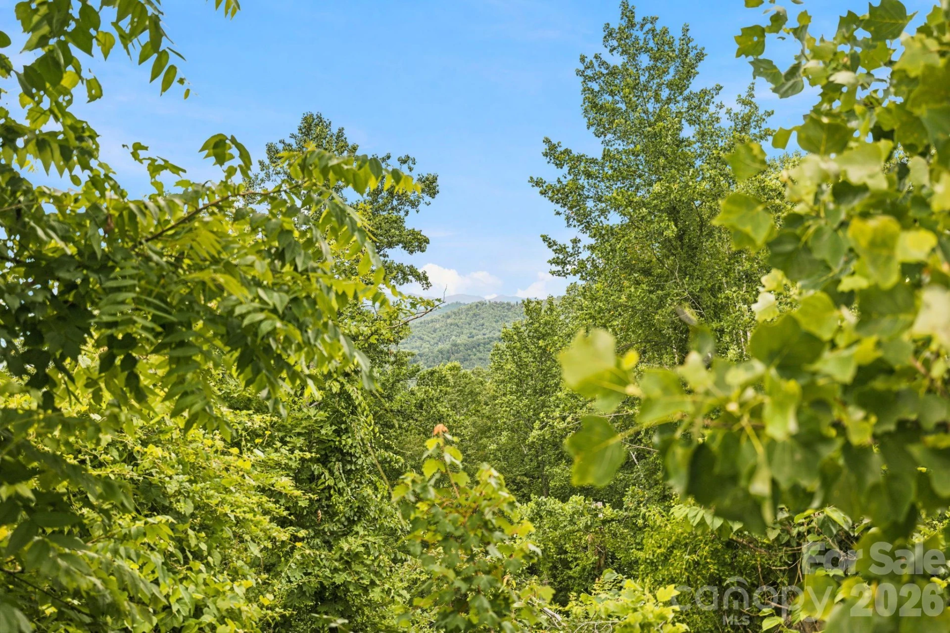 999 Perrion Avenue #18 - Photo 12