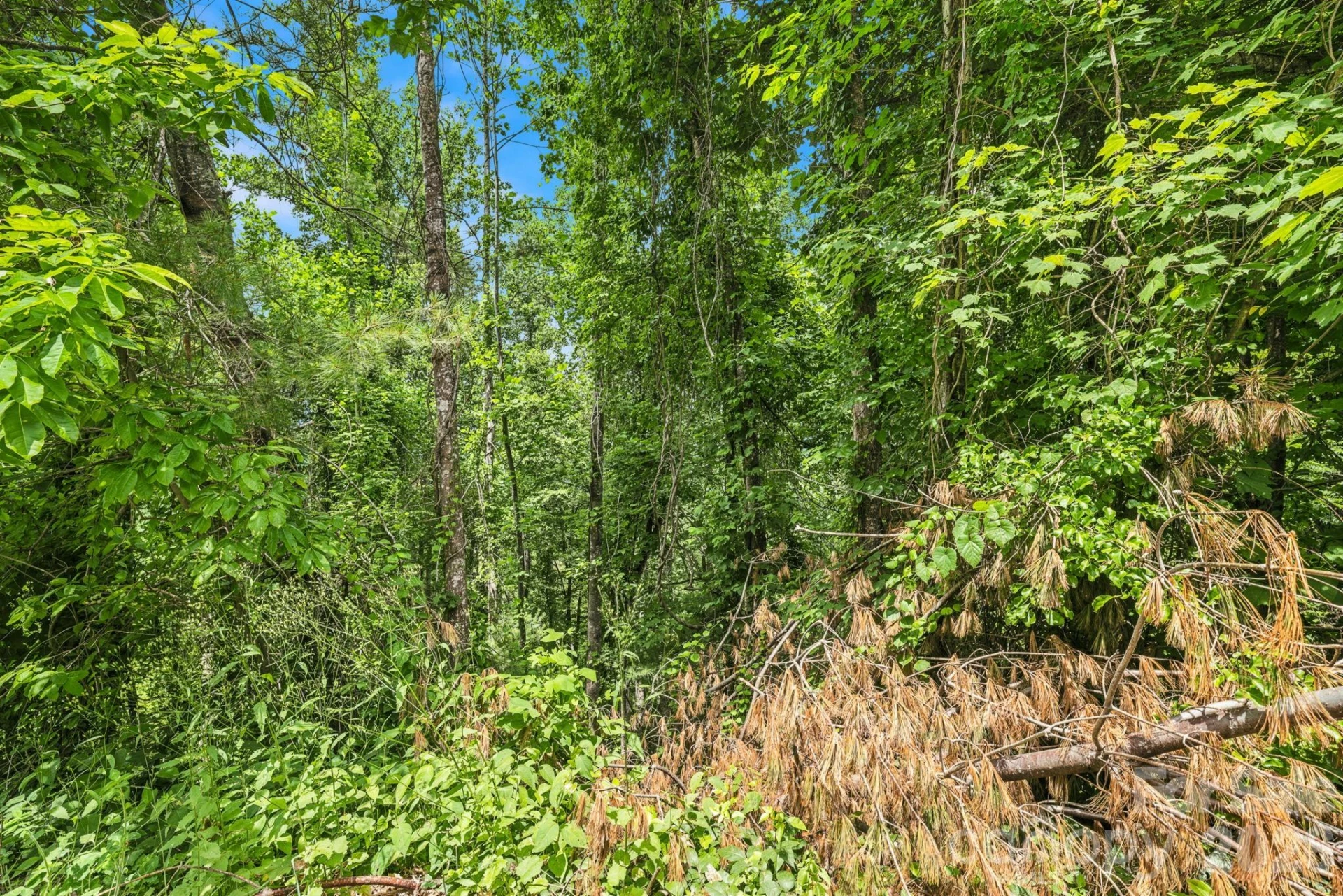 999 Perrion Avenue #18 - Photo 20