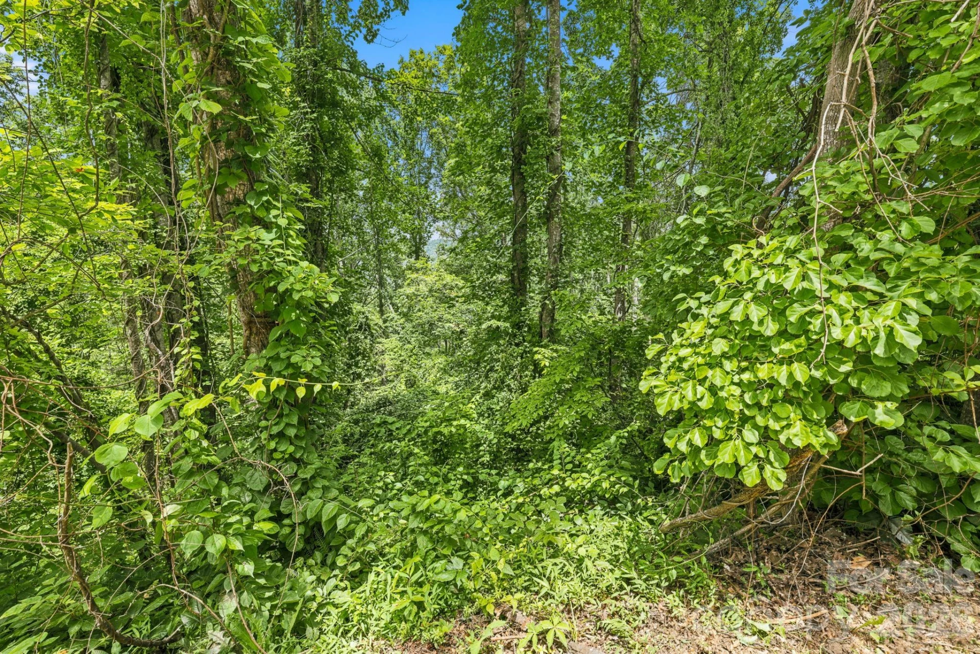 999 Perrion Avenue #18 - Photo 21