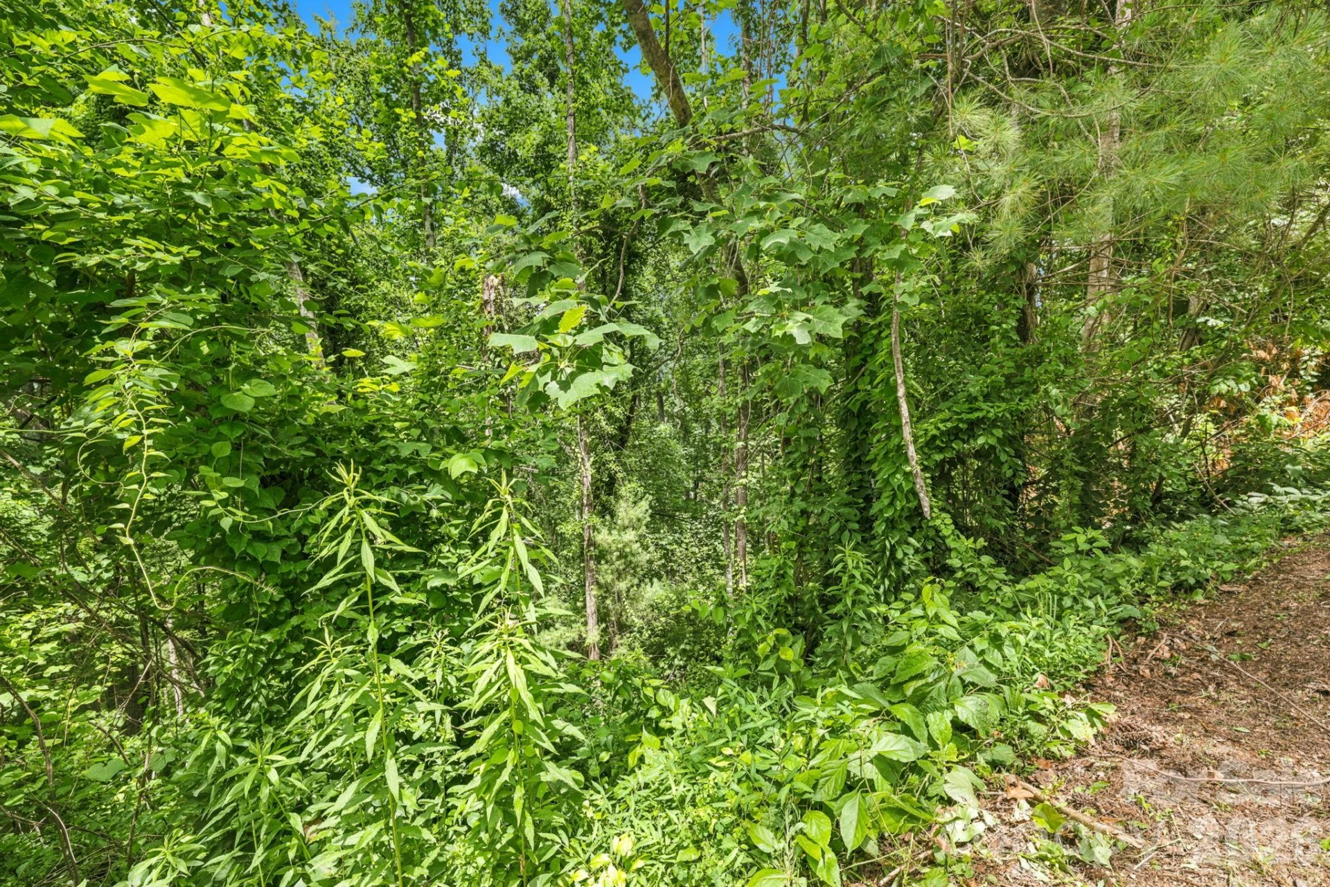 999 Perrion Avenue #18 - Photo 23