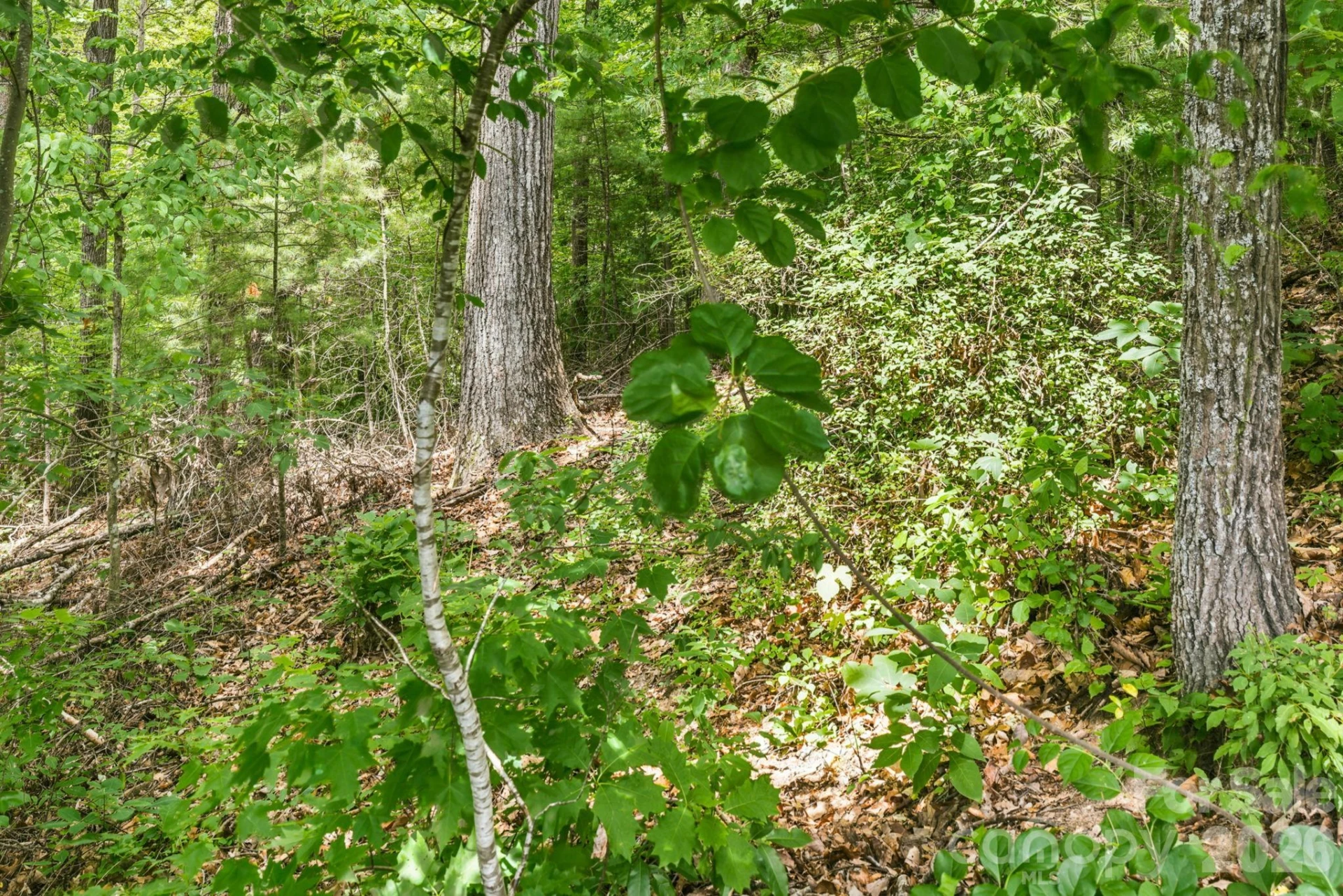 999 Perrion Avenue #18 - Photo 30