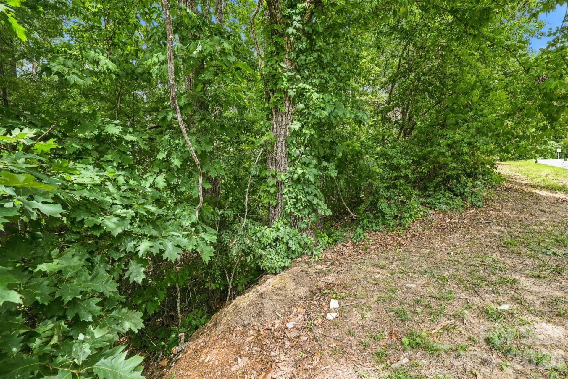 999 Perrion Avenue #18 - Photo 33