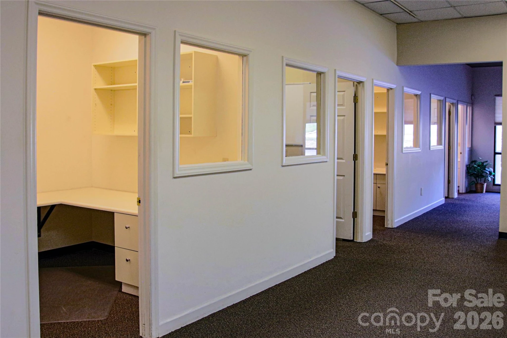 1257 Sweeten Creek Road #3 PINs - Photo 20
