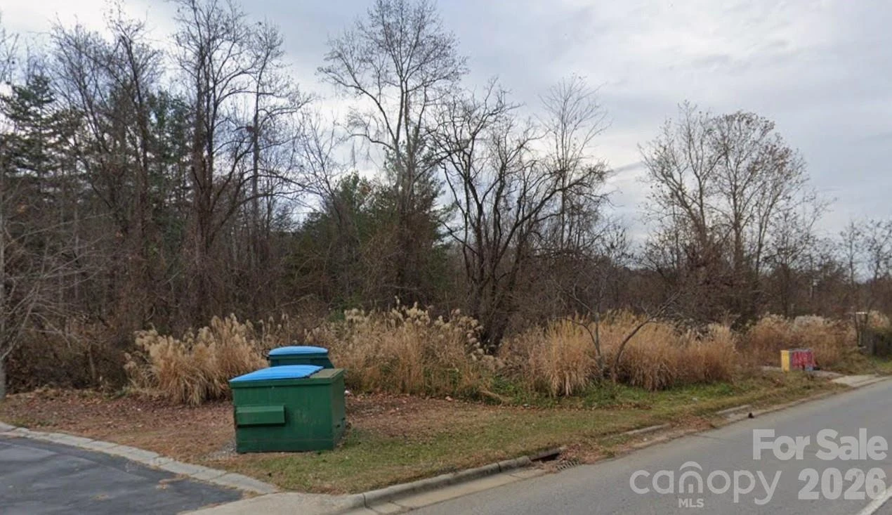1257 Sweeten Creek Road #3 PINs - Photo 4