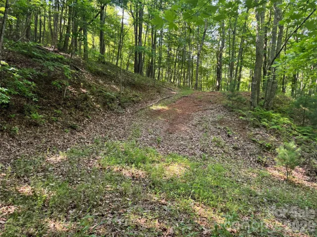 856 Stoney Stream Lane, Arden, NC, 28704