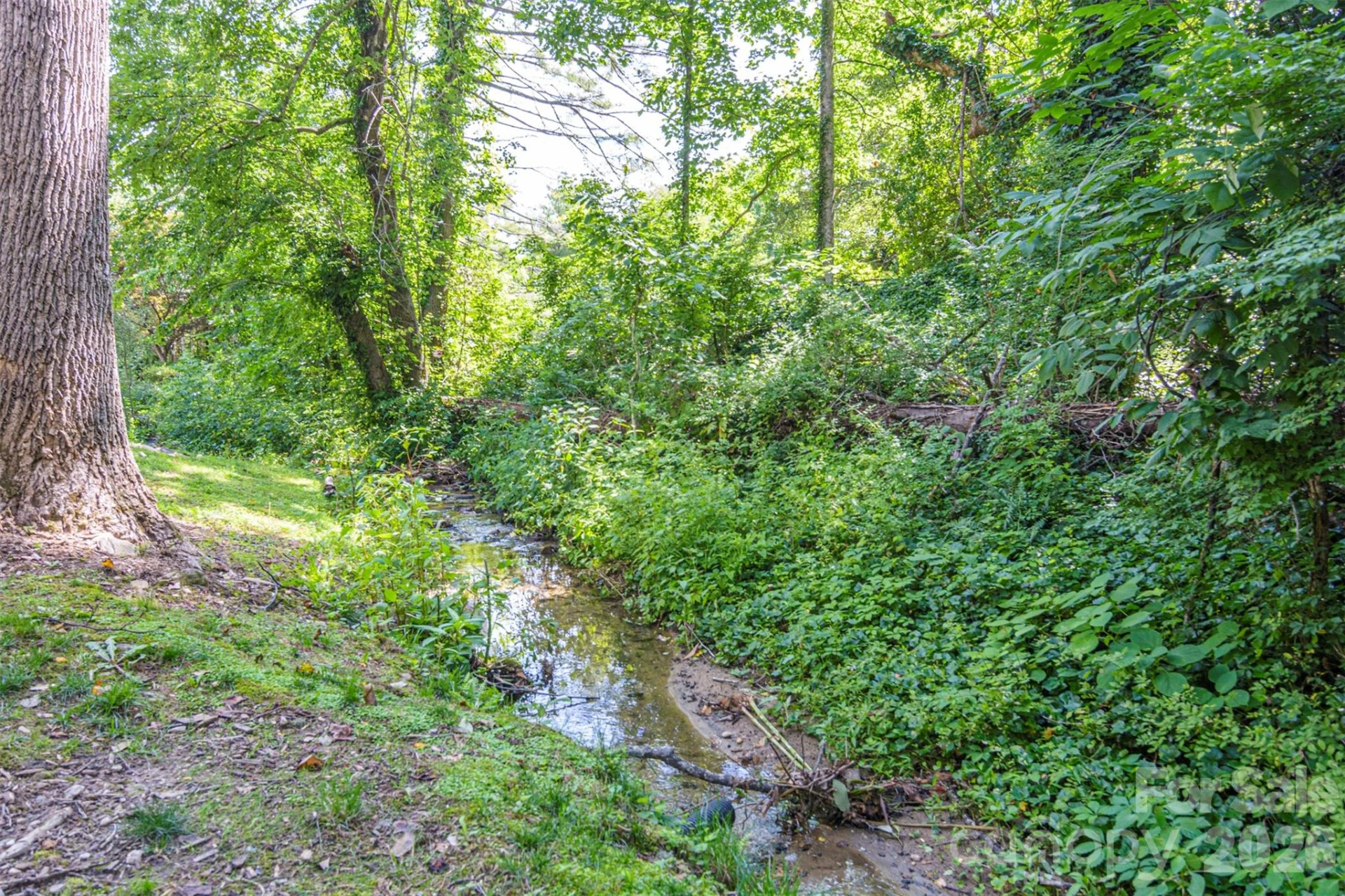 55 Lake Drive #P2 - Photo 23