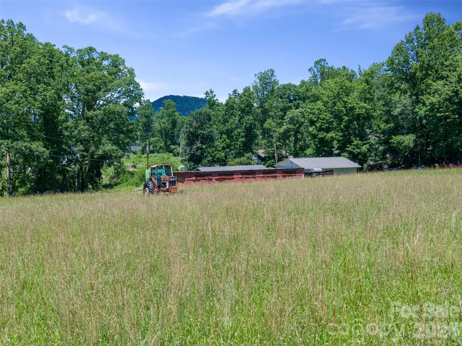1115, 1125, 1127 Glenn Bridge Road - Photo 7
