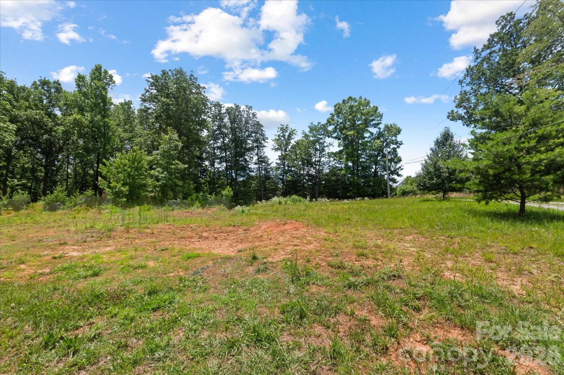 1223 Deer Park Road - Photo 4