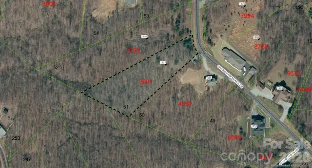 1927 Grandview Peaks Drive, Nebo, NC, 28761