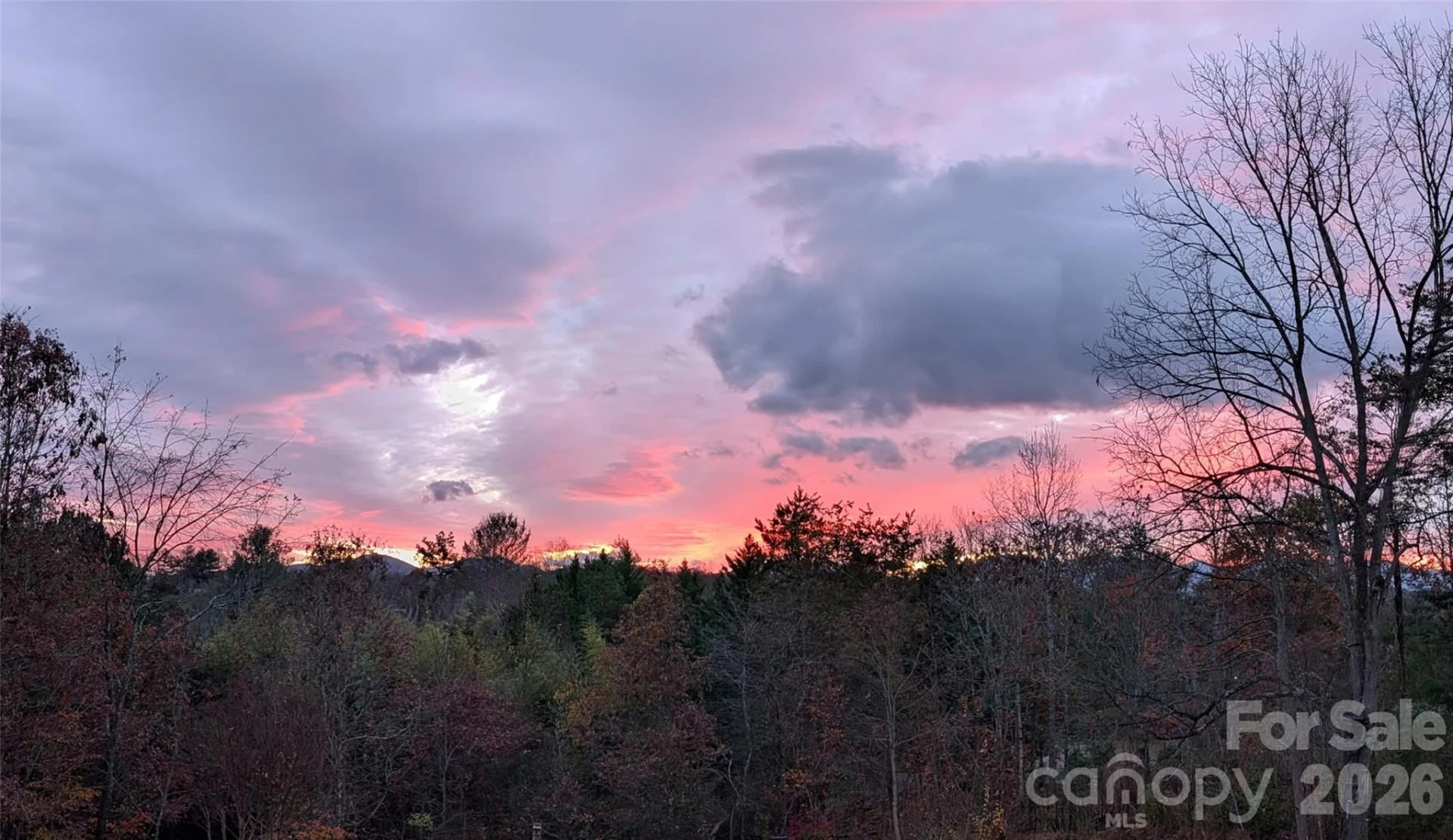 38 Chadwick Wade Drive - Photo 45