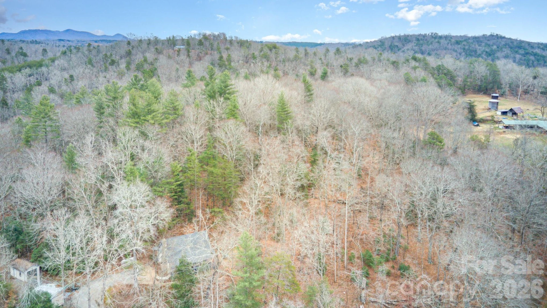 5460 US 64 Highway - Photo 36