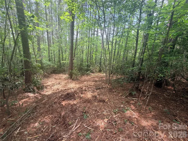 0 Gold Creek Point, Union Mills, NC, 28167