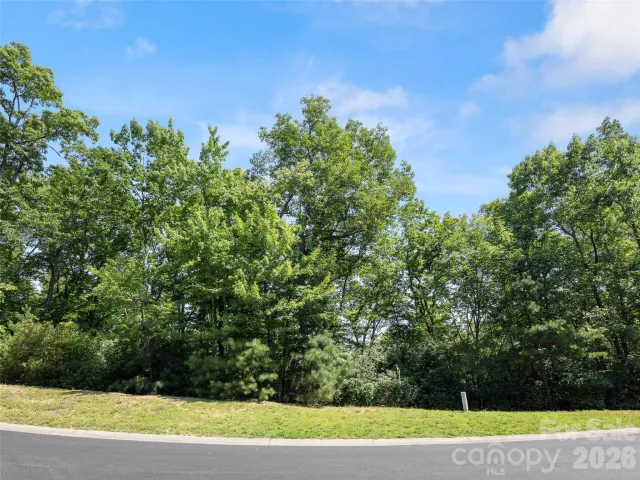 99999 Shining Rock Path, Horse Shoe, NC, 28742