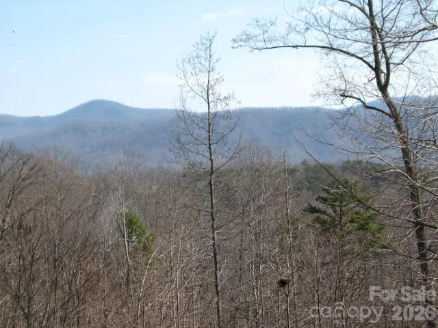 000 Meditation Ridge Ridge, Nebo, NC, 28761