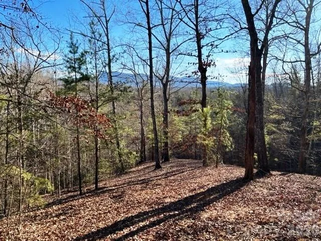 Lot 17-4 Coast Drive, Mill Spring, NC, 28756