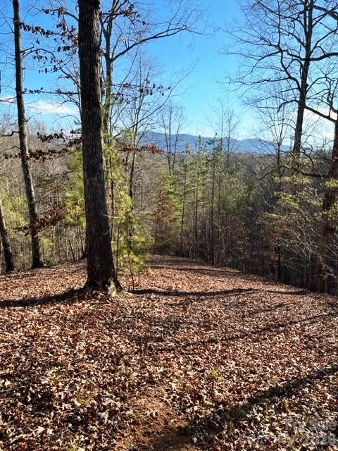 Lot 17-4 Coast Drive - Photo 3